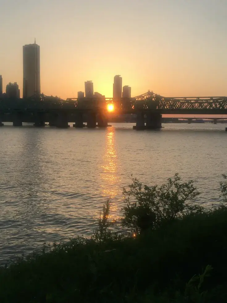 서울 예술 고등학교(1천명 감사) 대표 이미지