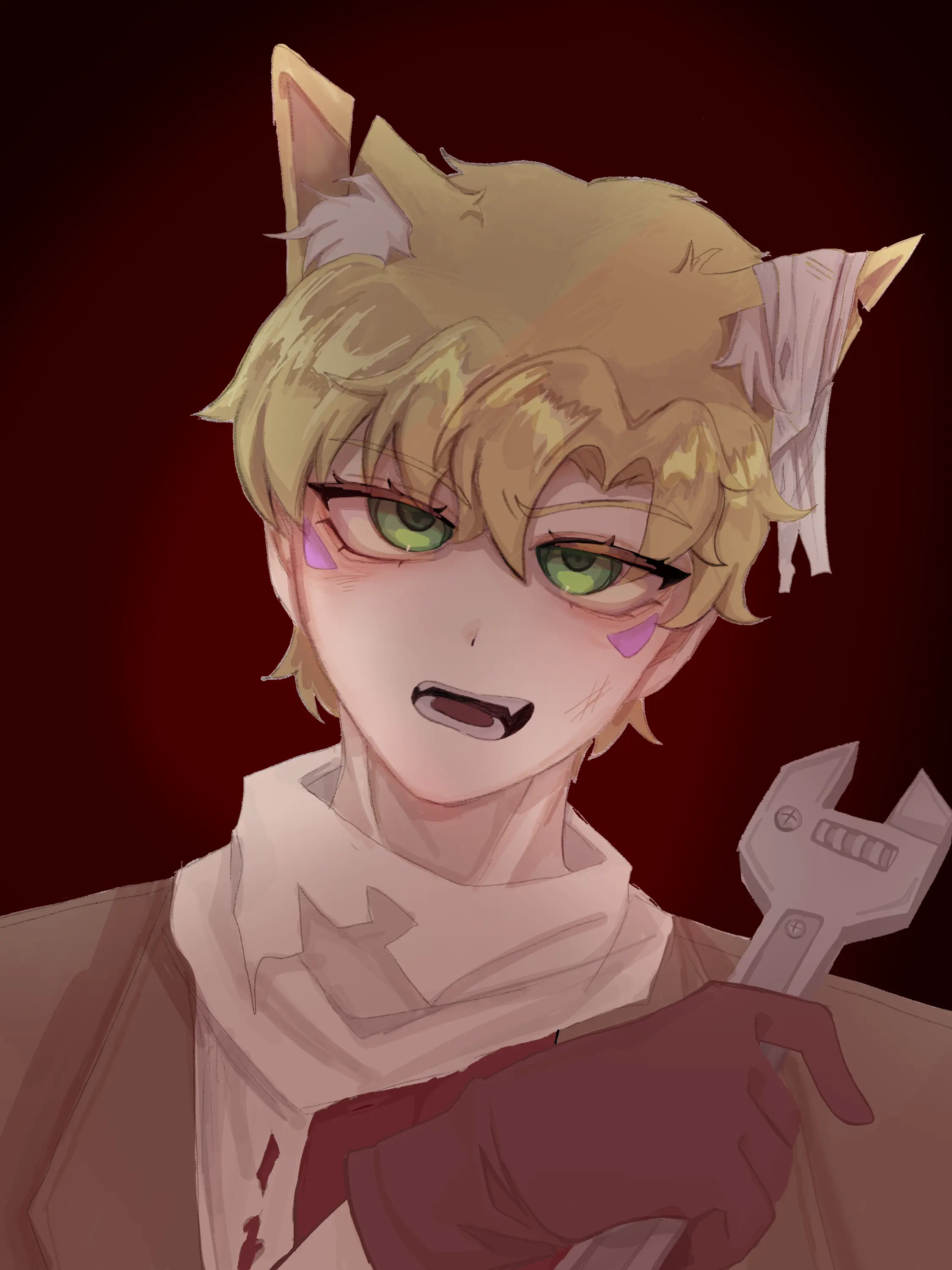 ash_jojo의 길 고양이?