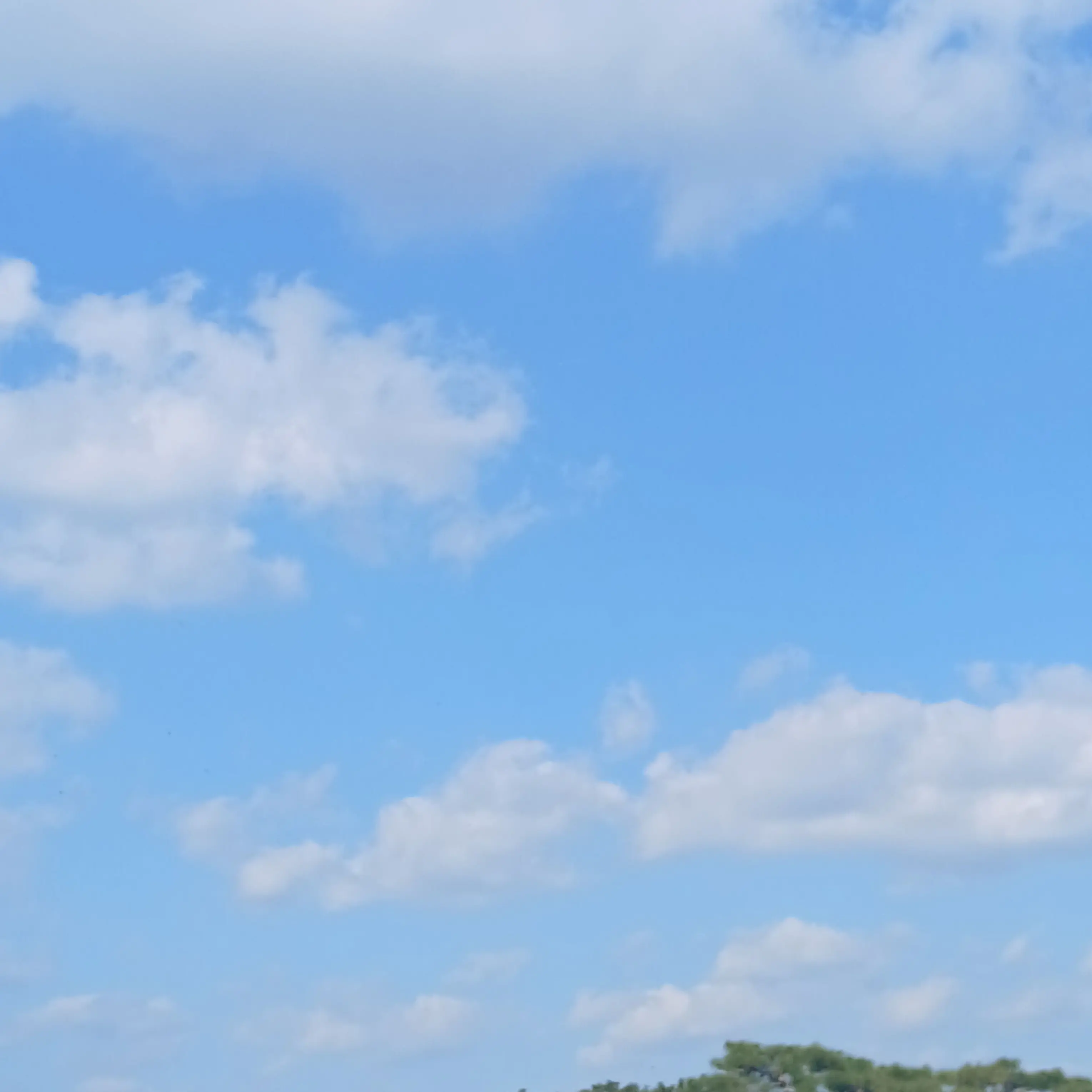 MILK0903의 NCTWISH 해체 D-3 콘서트팬싸