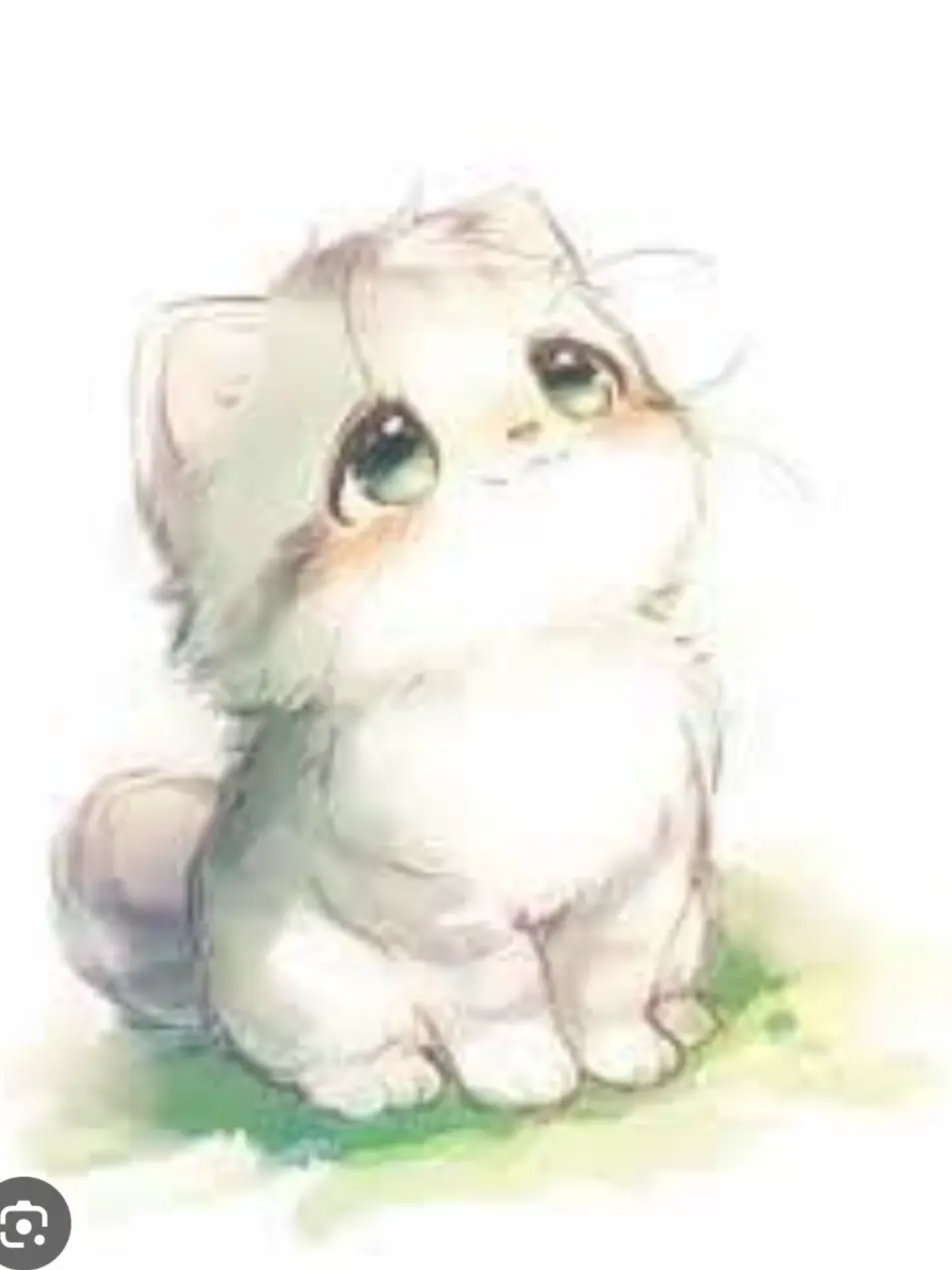 6236420의 猫の恩返し(貴方が恩返しする)