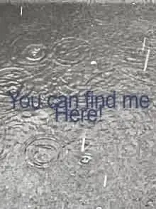 Aube_의 雨