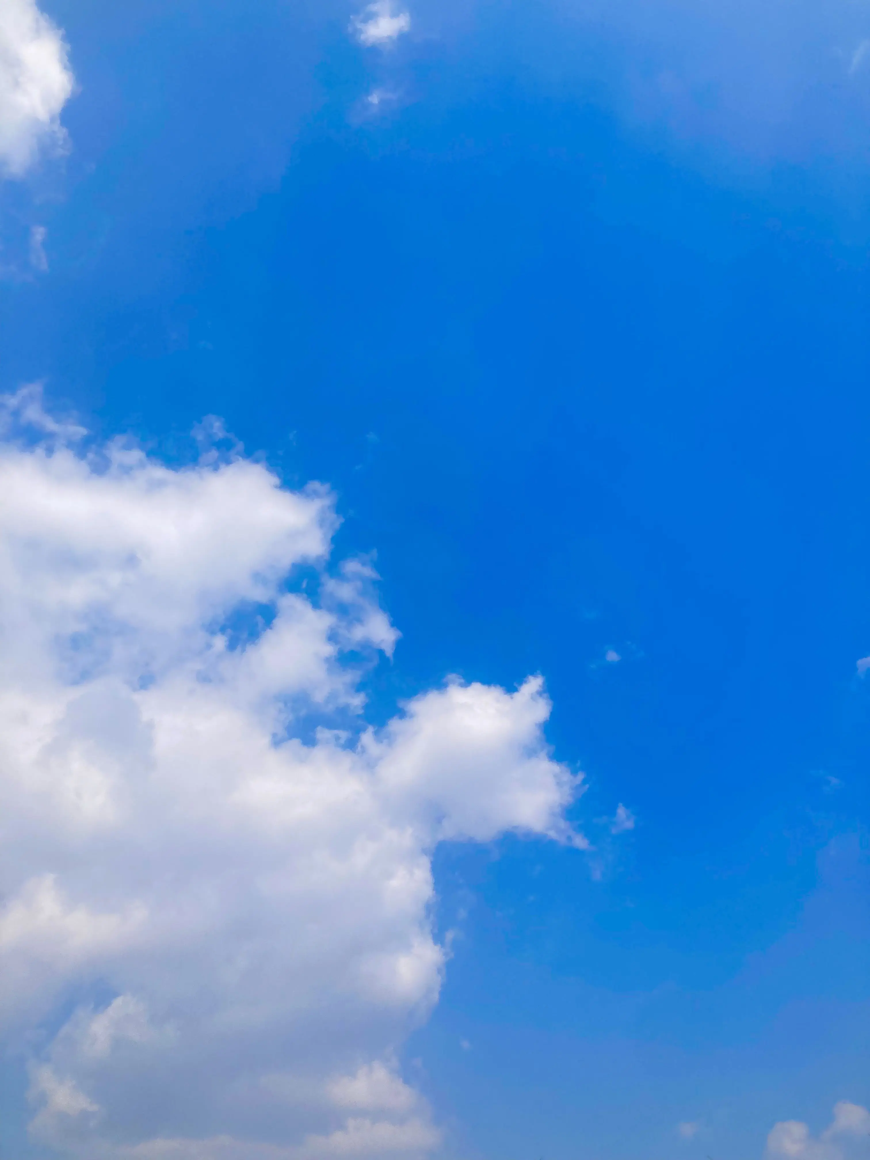 Lattestar0423의 플라네타 동물병원