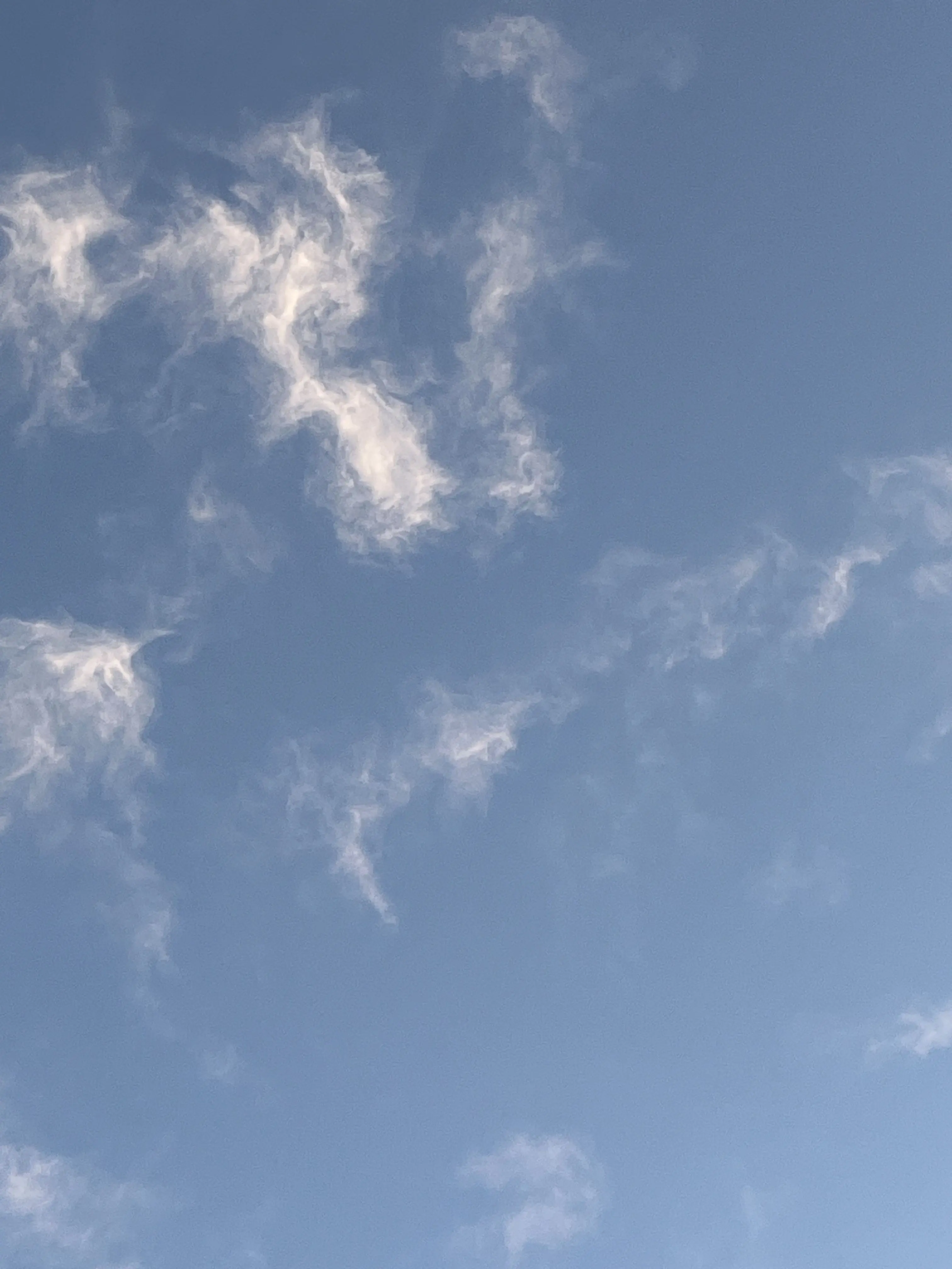 NewDam1584의 おい…お前。大丈夫か？