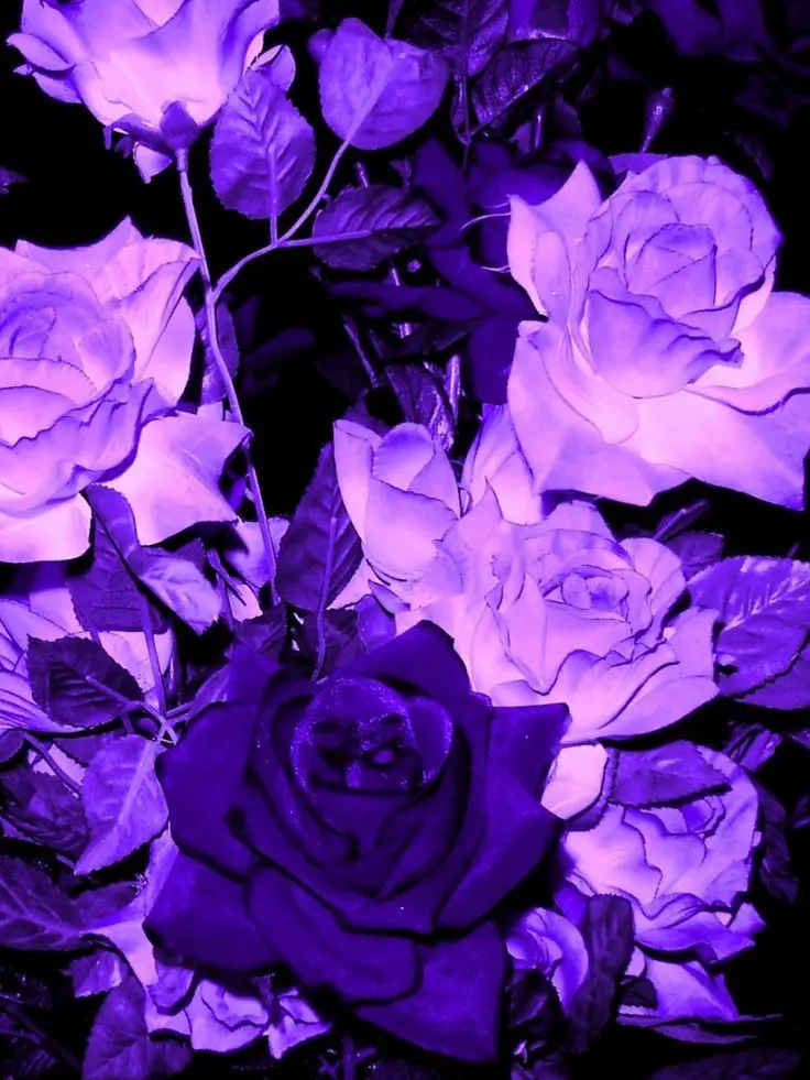 Mzzz9의 🎀♡