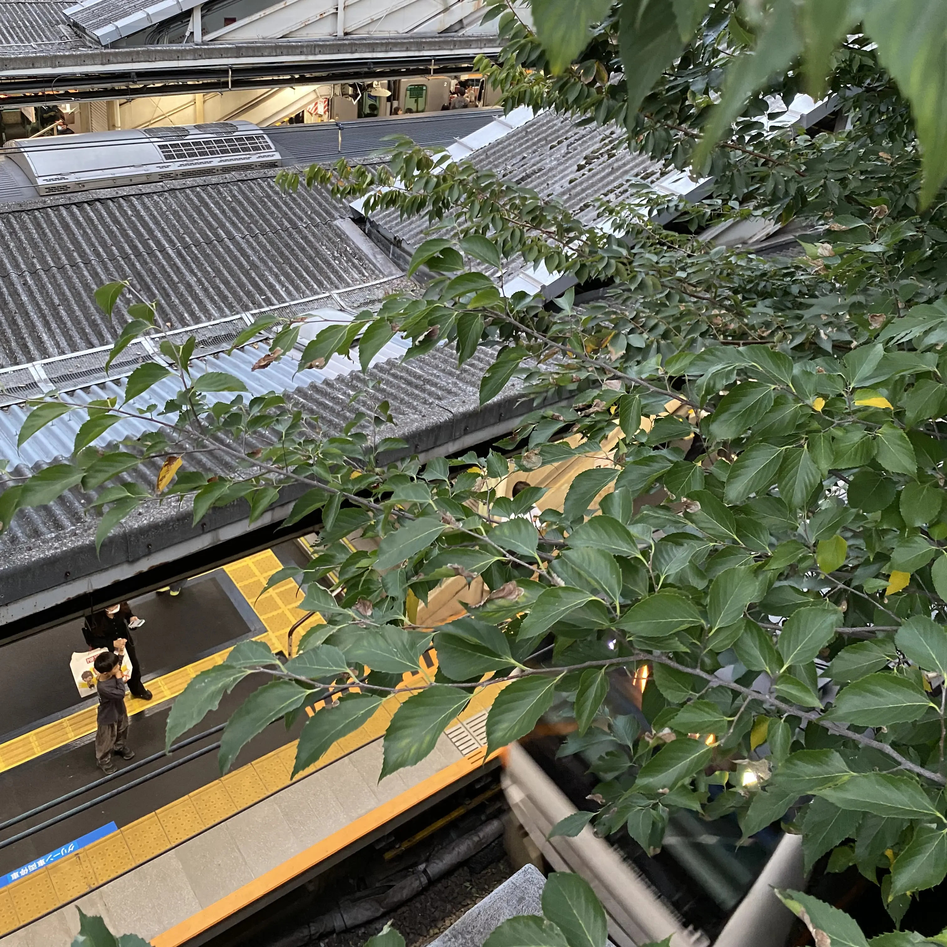 hdnzndndnanchx의 JR東日本と東京メトロの協力体制！！