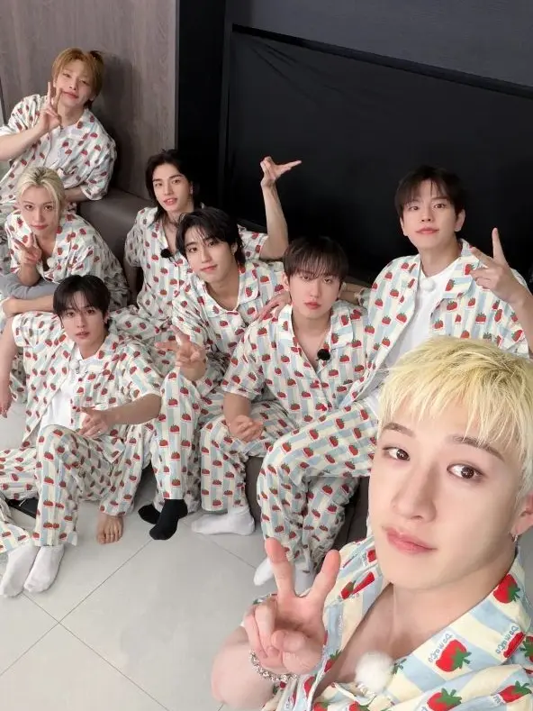 IStoleChangbinsHusband의 Stray KidsーPick-me Girl