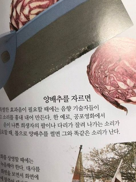 옆집 대표 이미지