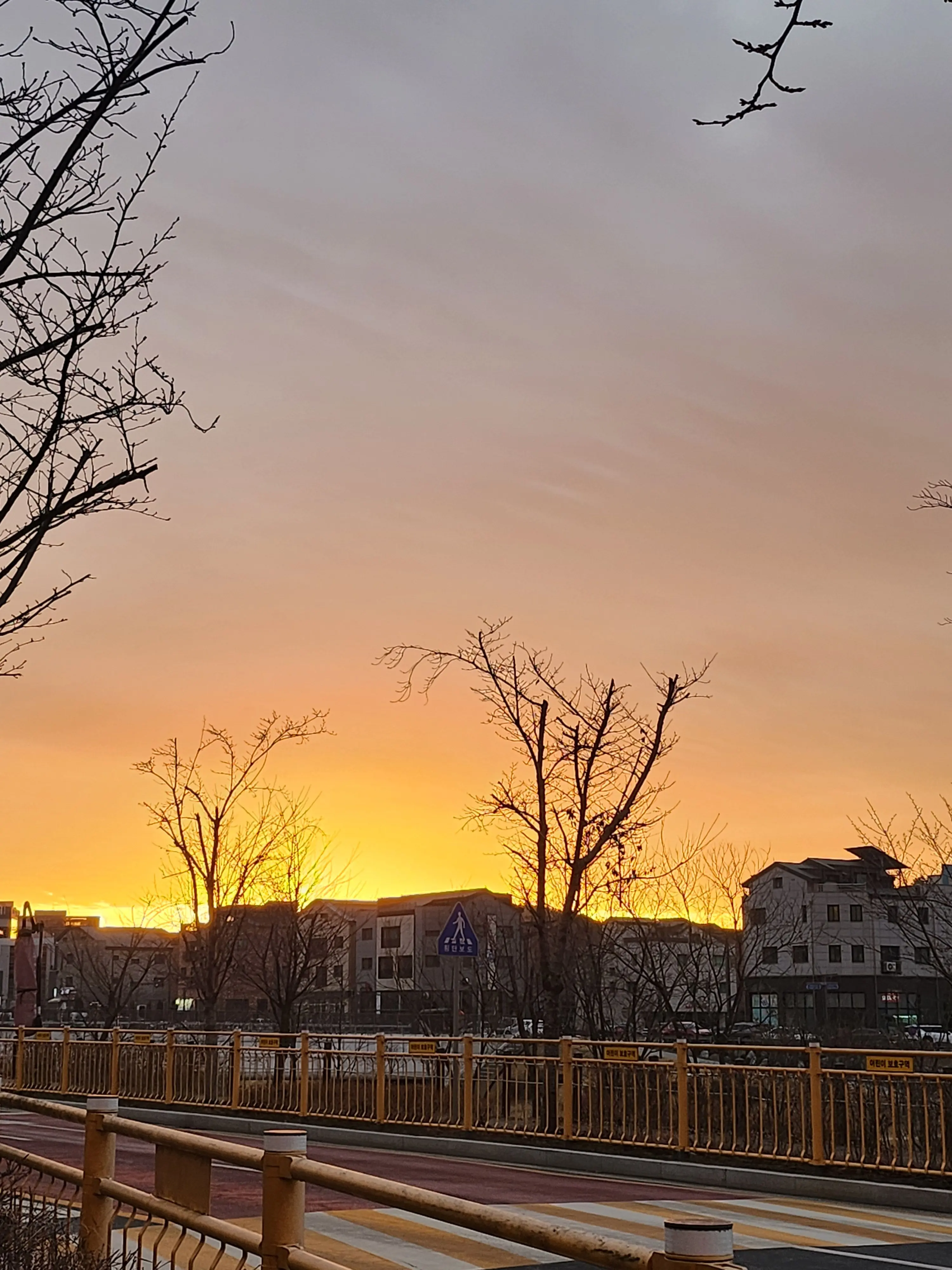 singgonum의 守義(수의)