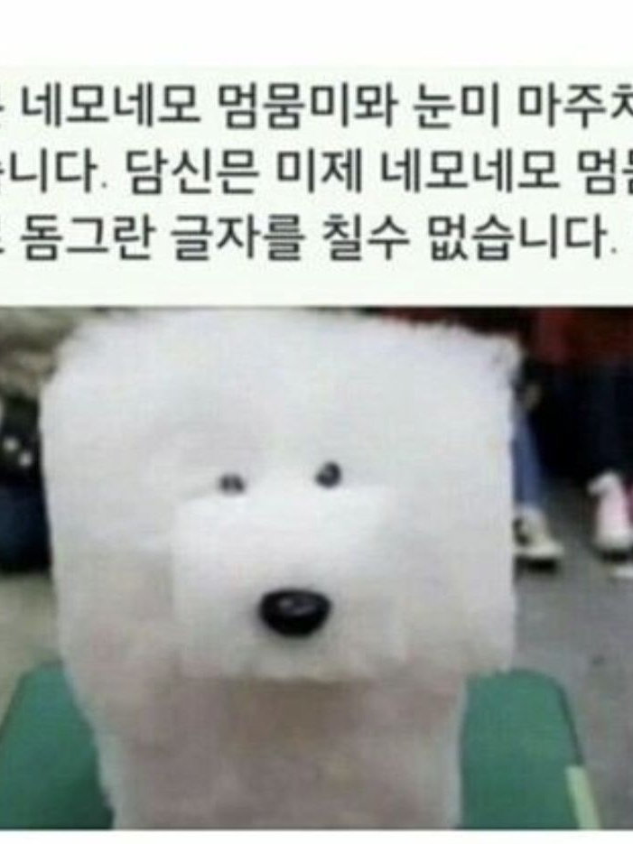 팀나빠+여우, 유저 저승사자! 대표 이미지