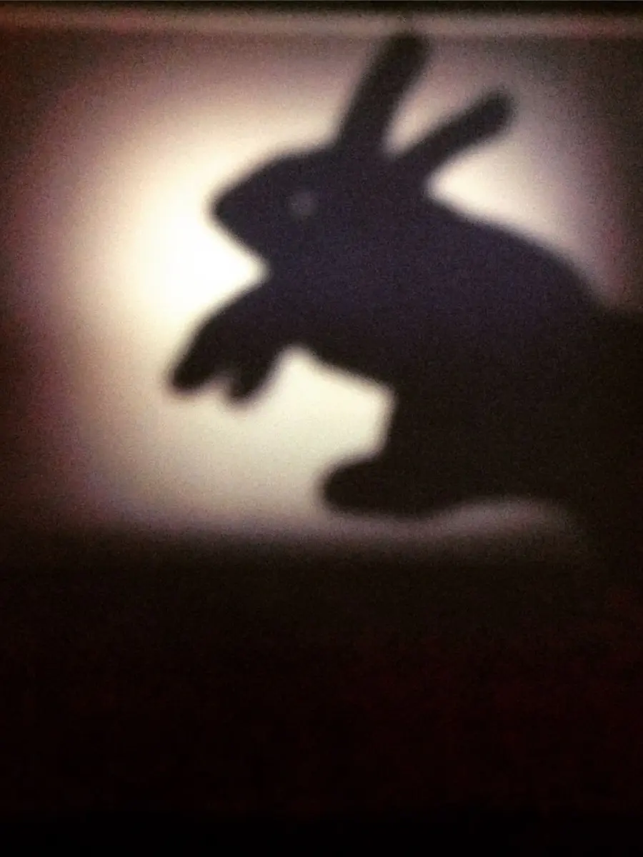 Ririsaralove의 🐰つえーばにー🐰