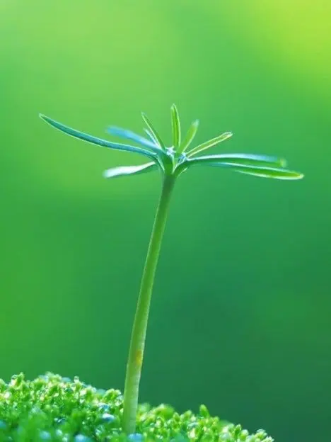 LateWin9934의 뜰팁- 엘프