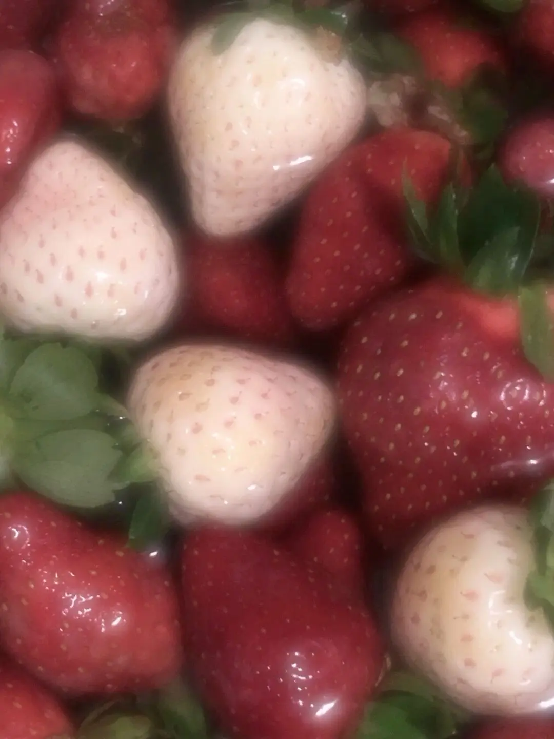 hisu_00의 片思いロレ