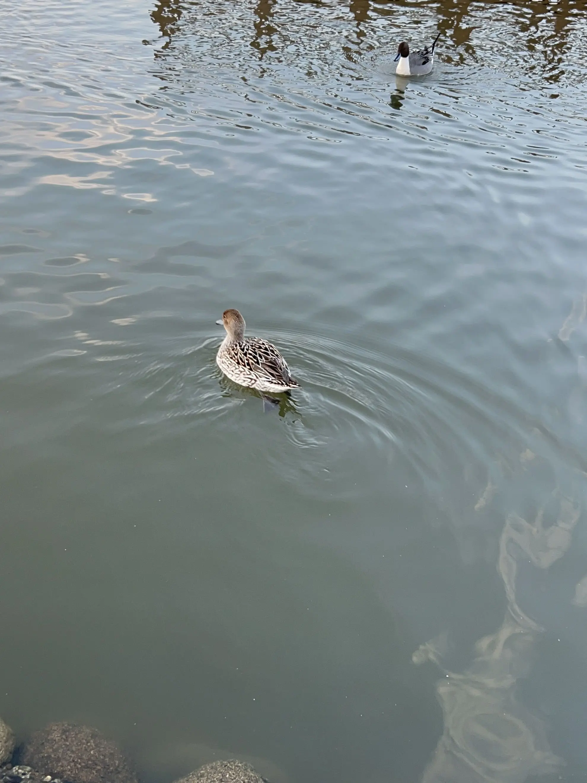 SilverVomit1312의 私の居場所。