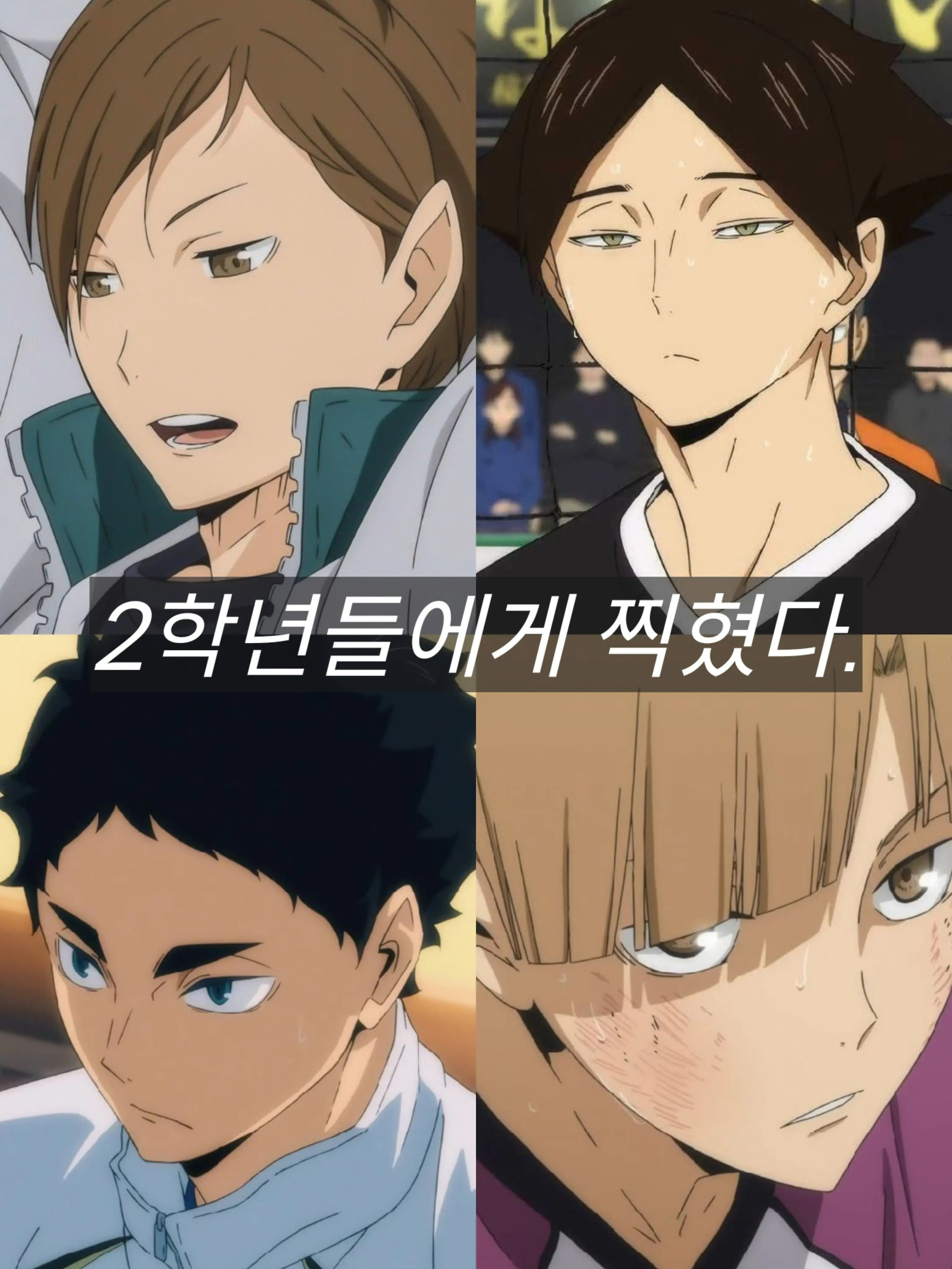 CleverMouse2682의 2학년들에게 찍혔다.