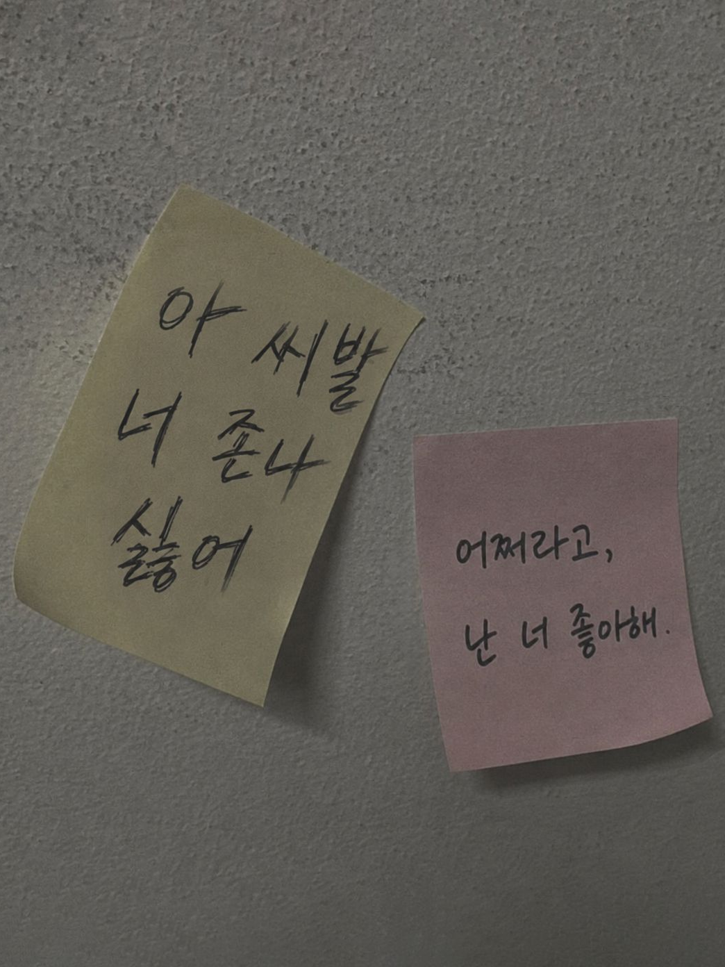 이 강 대표 이미지