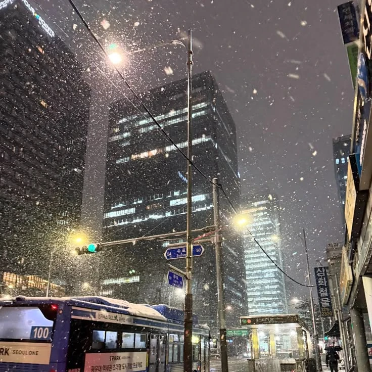 ... 너 주려고 사온 거 맞다.
