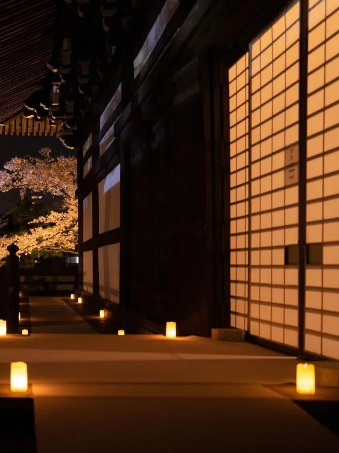 SneakySweat4525의 보고