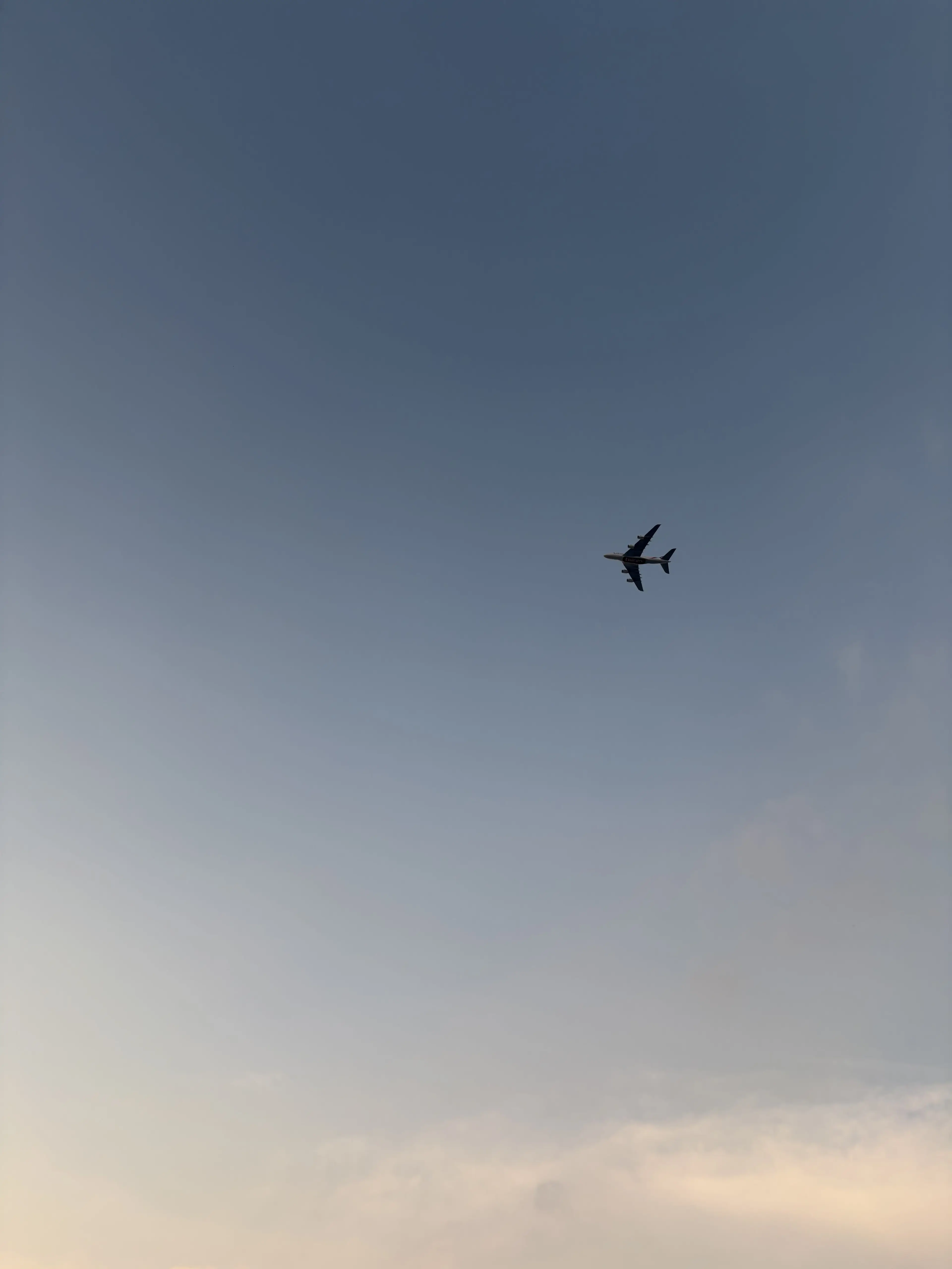 eagles_h의 장유호