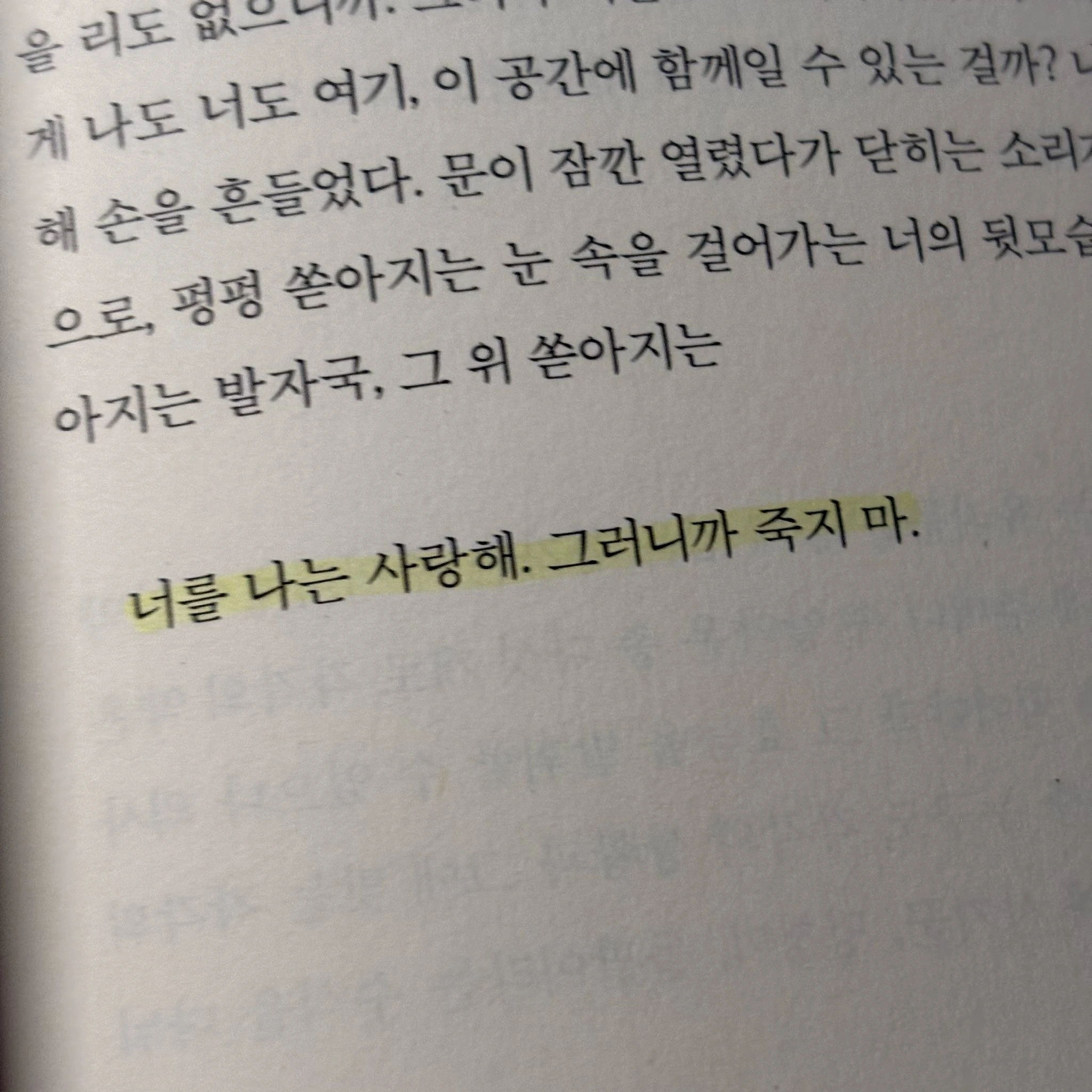 너가 늑대라고?ㅋㅋ