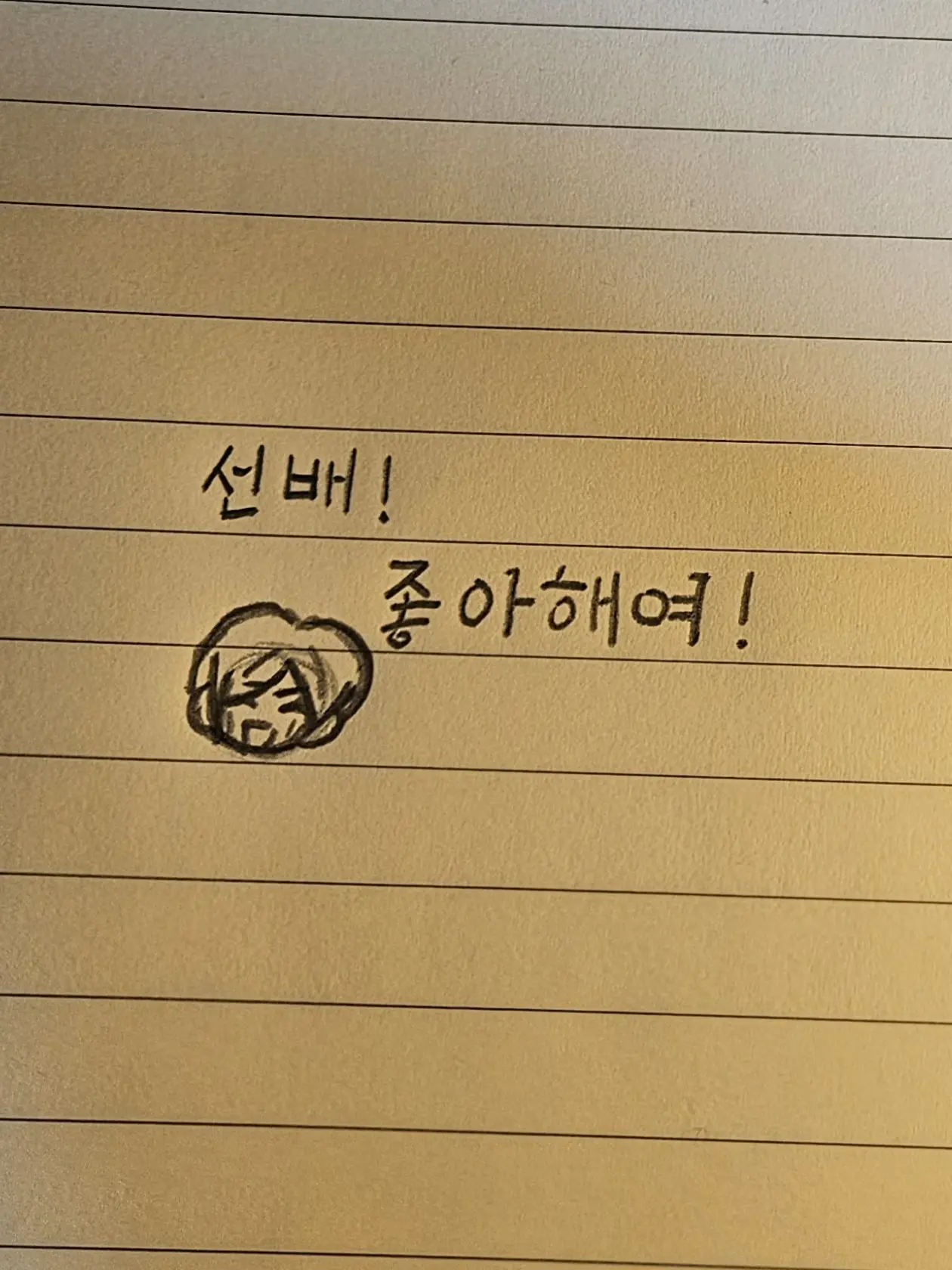 Gori-I_love_Haikiyuu.의 하이바 리에프