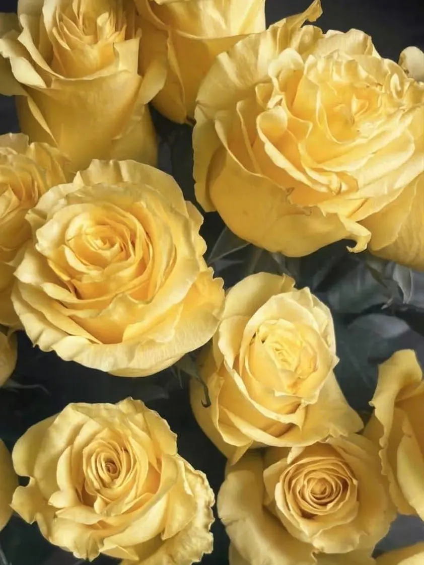 red_h_r_t의 💛