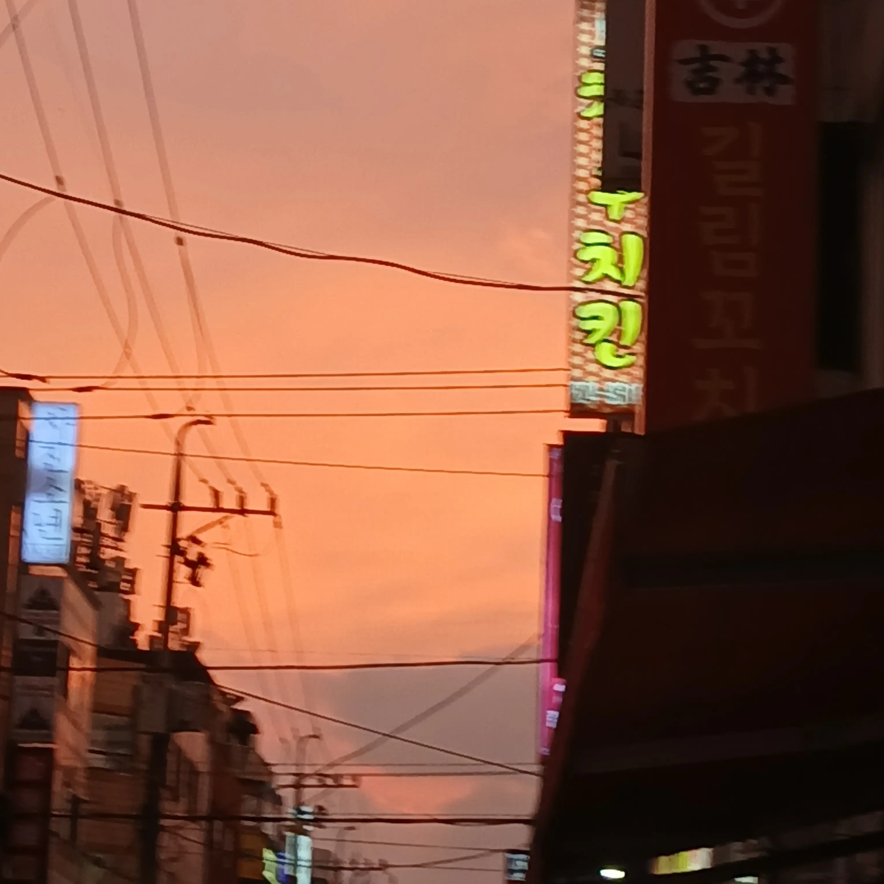 NastySpoon4231의 고고프렌즈+여우+수학여행