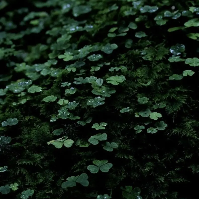 Nanasisun의 今 度 は ち ゃ ん と 手 を