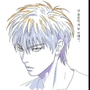 Plumblossoms의 서태웅