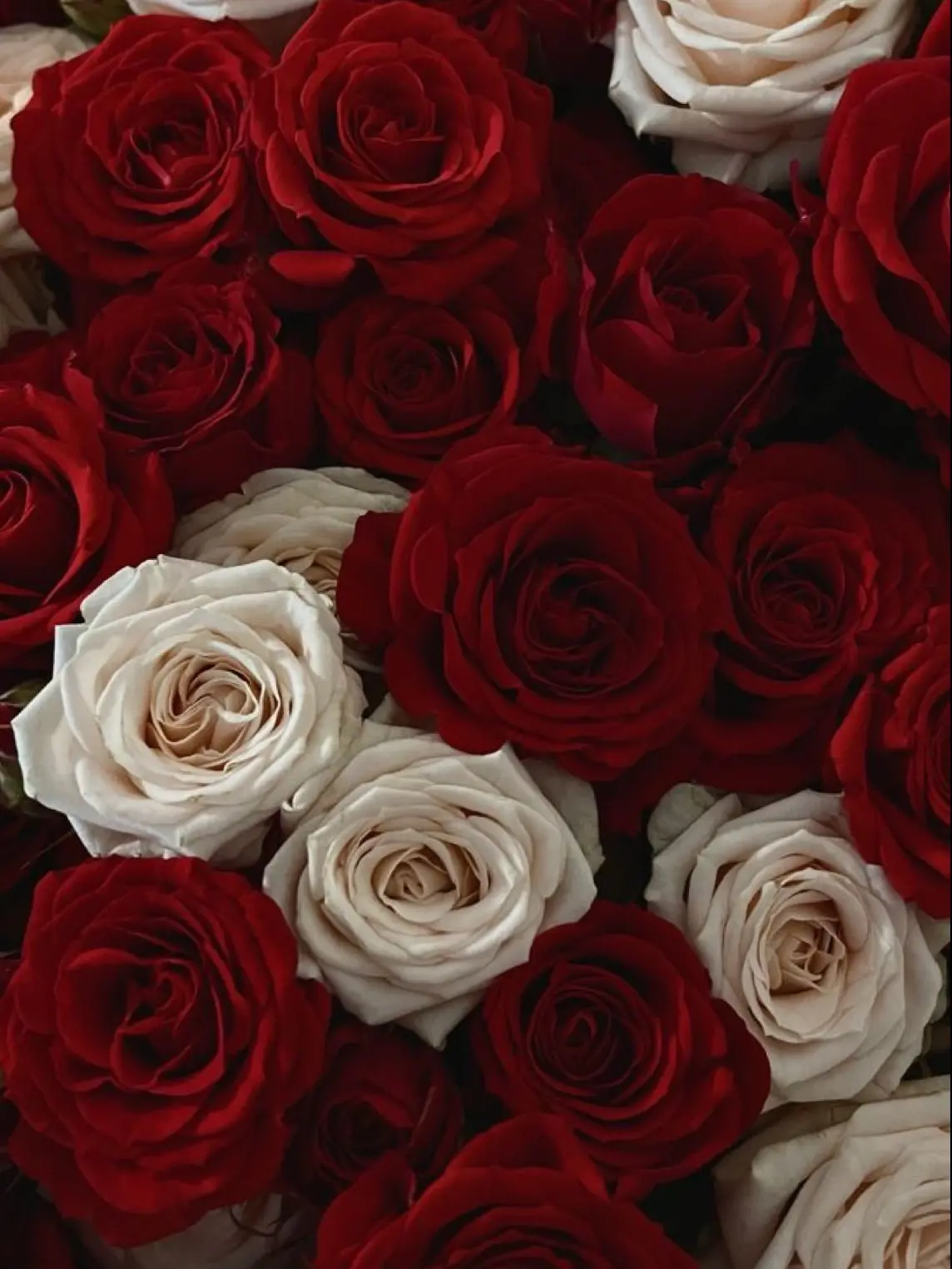 TimelyPool9091의 僕を選んで。