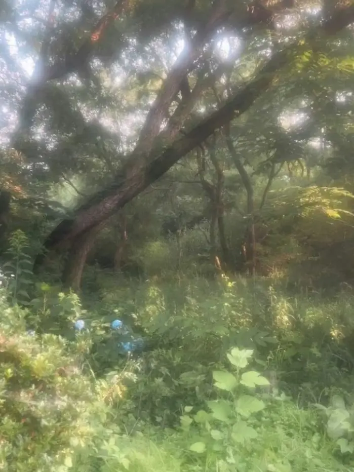 Stellalivelover의 ♤라이벌 픽셀리♤ [공룡편]