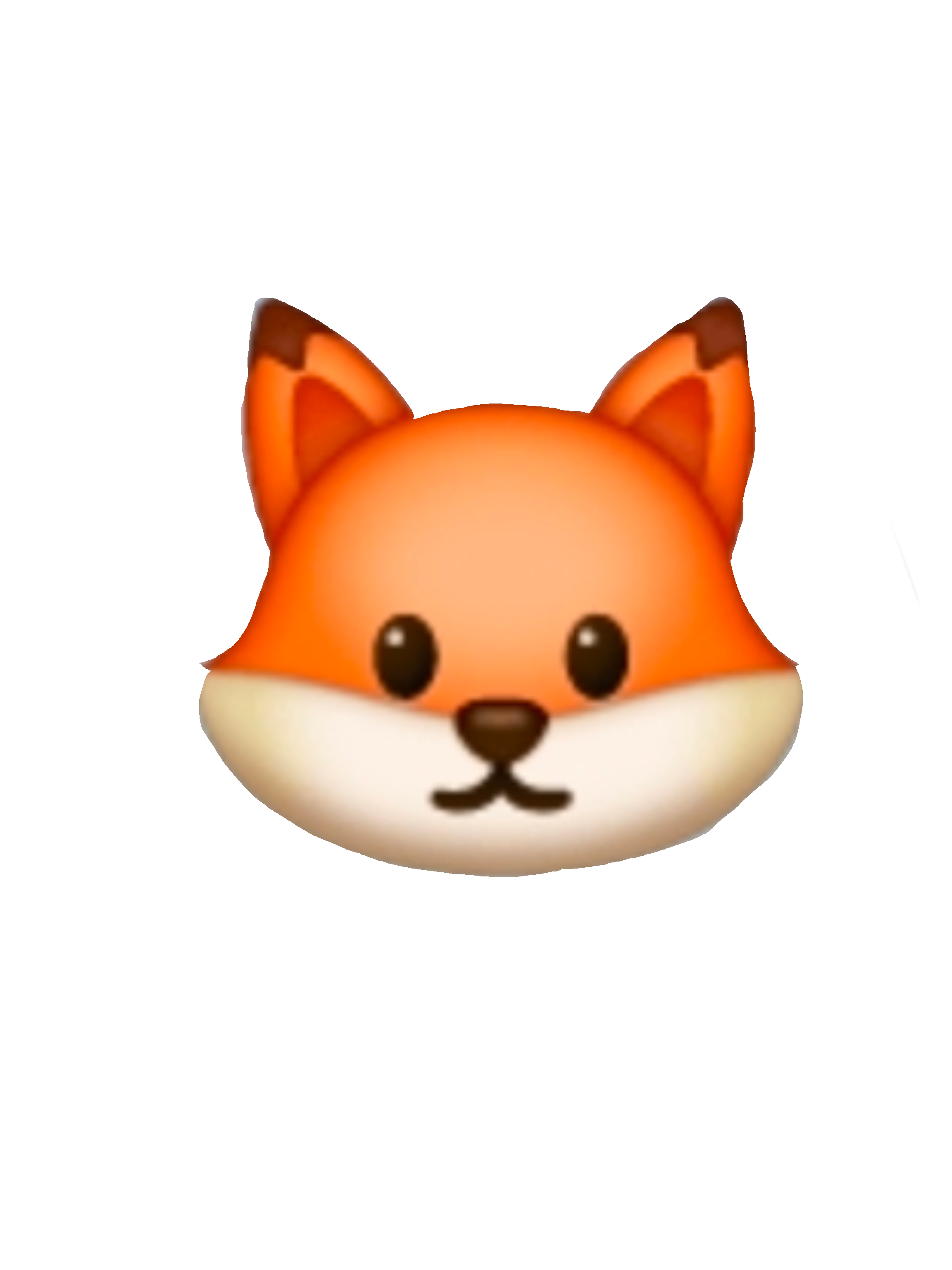 최연준 대표 이미지