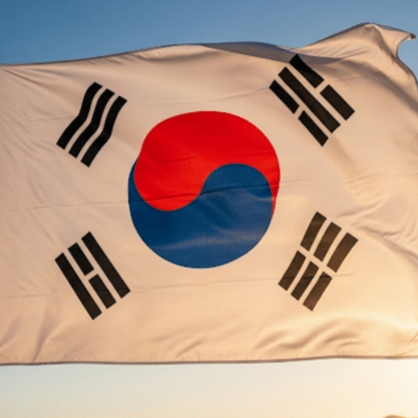 픽셀리 국가대표 대표 이미지