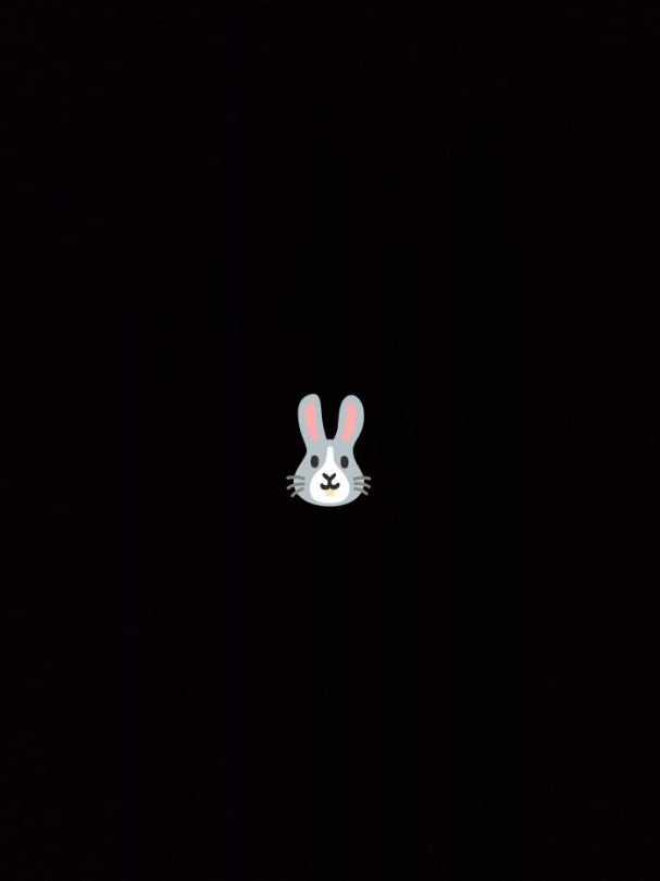 🐰❤ 대표 이미지