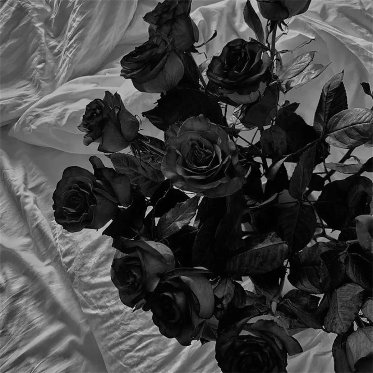 Kim_20_00의 당신과 마지막.