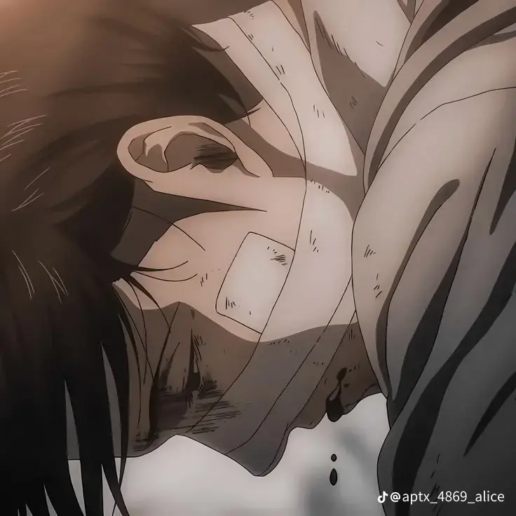 FleshyCord7701의 리바이 아커만.