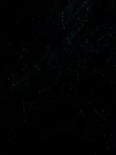 DirectWool6966의 레제편