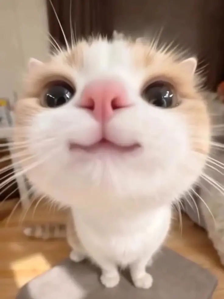 kukukukuk의 들어오지 마세요!!