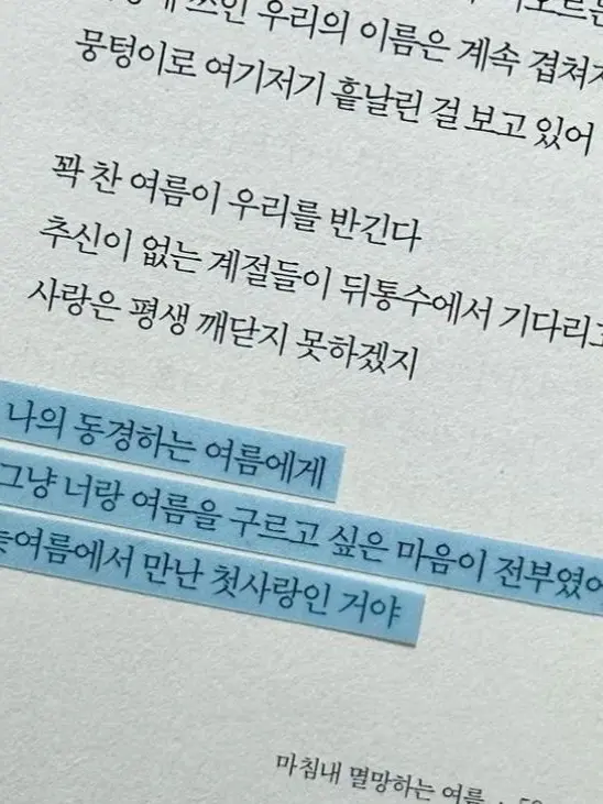 milk_.의 늦여름에 만난 첫사랑인 거야