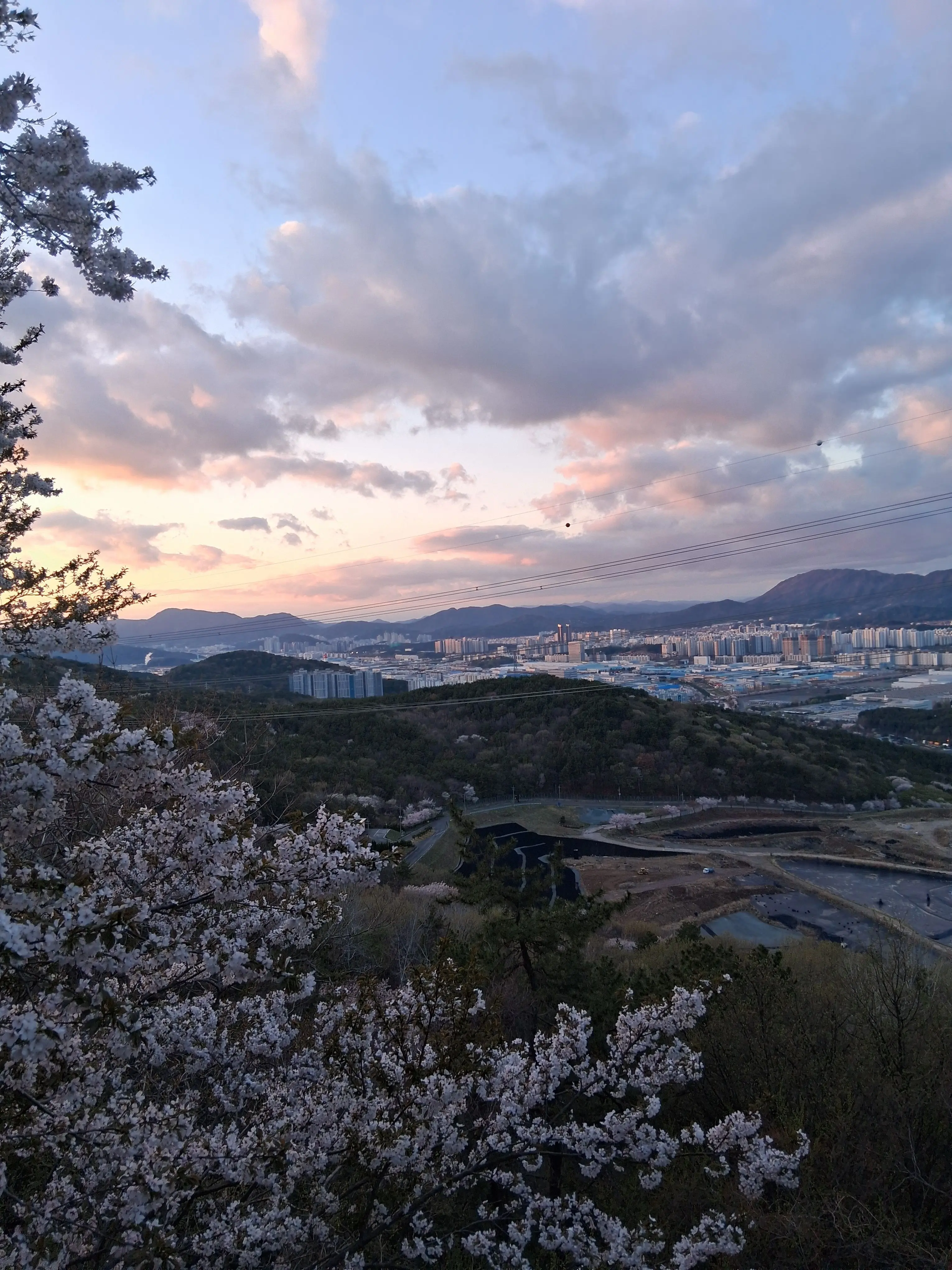 Itpassesby의 한국과 남매?(제가 최초)