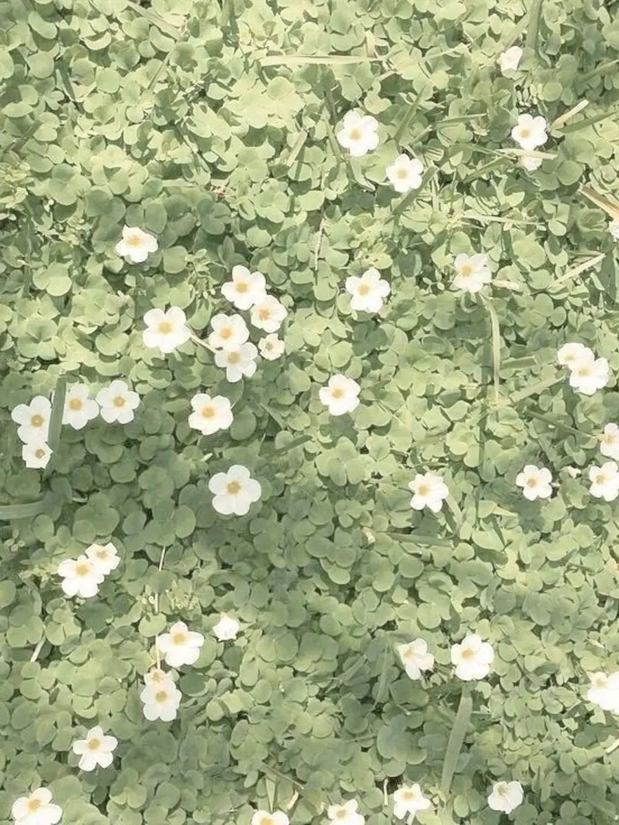 _k1._.wtam의 春になれば