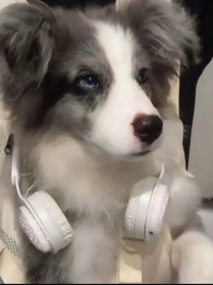 Takotakotacos의 なんだかんだ助けてくれる兄貴