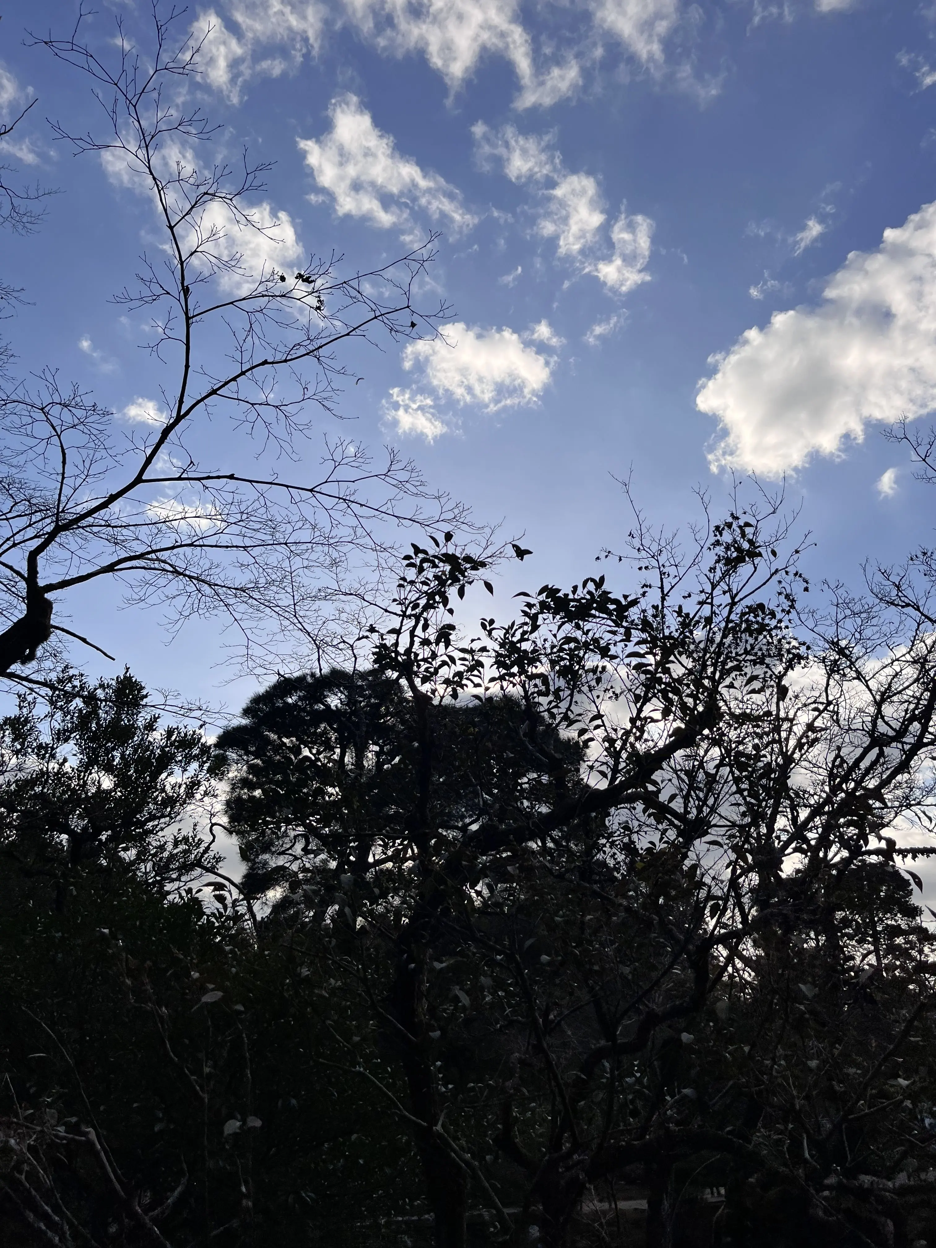 BlackBear0568의 헤히헤ㅔㅎ