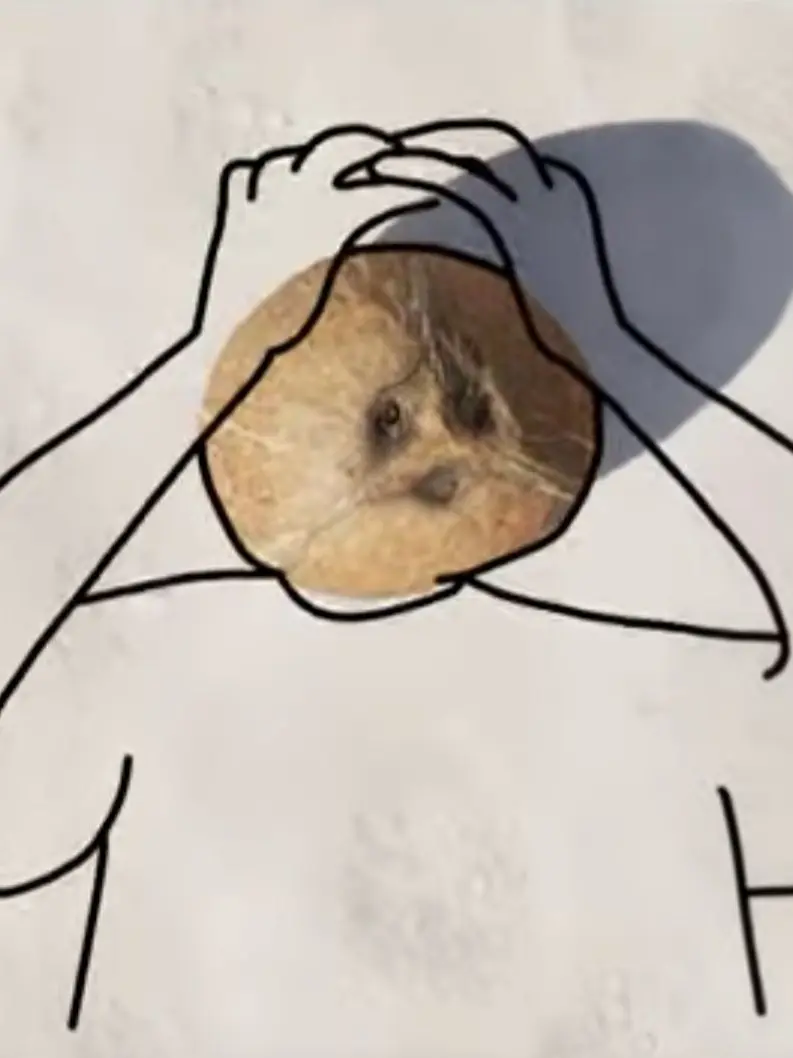 Mastercake의 안녕 코코넛