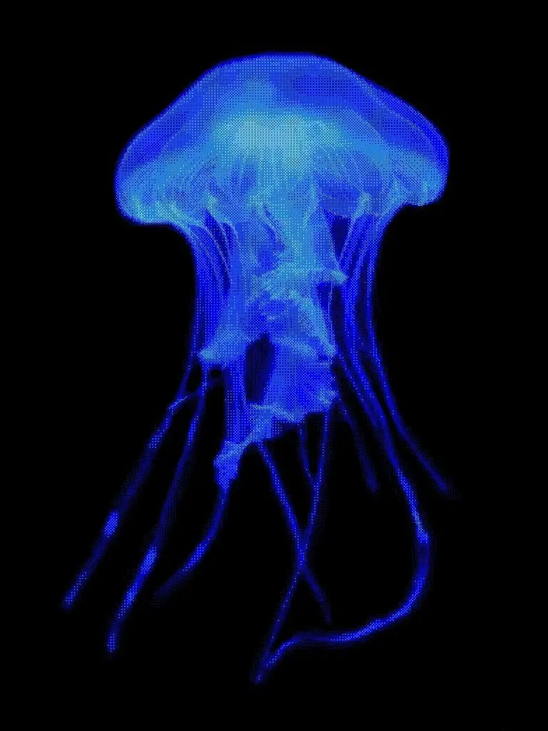 bangang의 ㄱHㅇiL