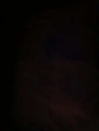 Styrcfutrdch7t의 건탯