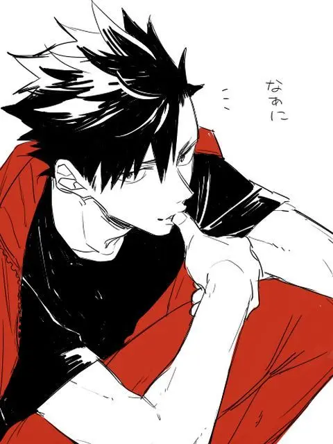 UsableQuill2644의 黒尾先輩
