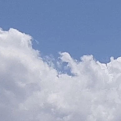 머루더즈