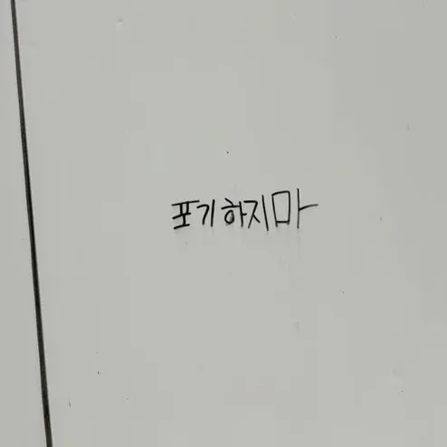 Z.xb_167의 나재견