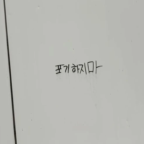 나재견