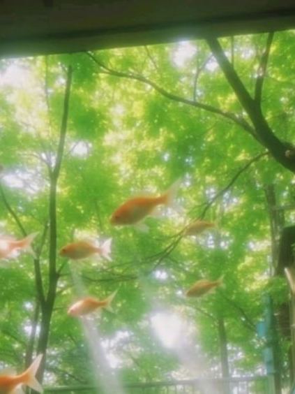 4 대표 이미지